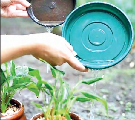 Petrópolis: surto de dengue se concentra nos distritos