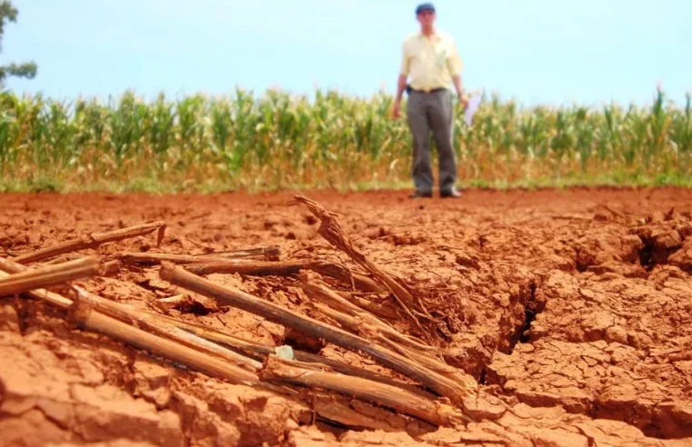 Governo Federal a reconhece situação de emergência em 37 cidades de 13 estados