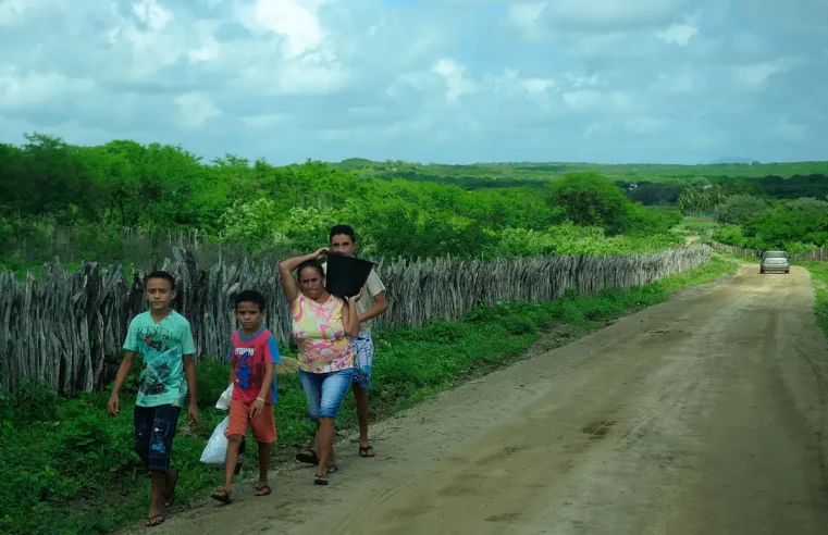 Acompanhamento de famílias para fomento rural é regulamentado