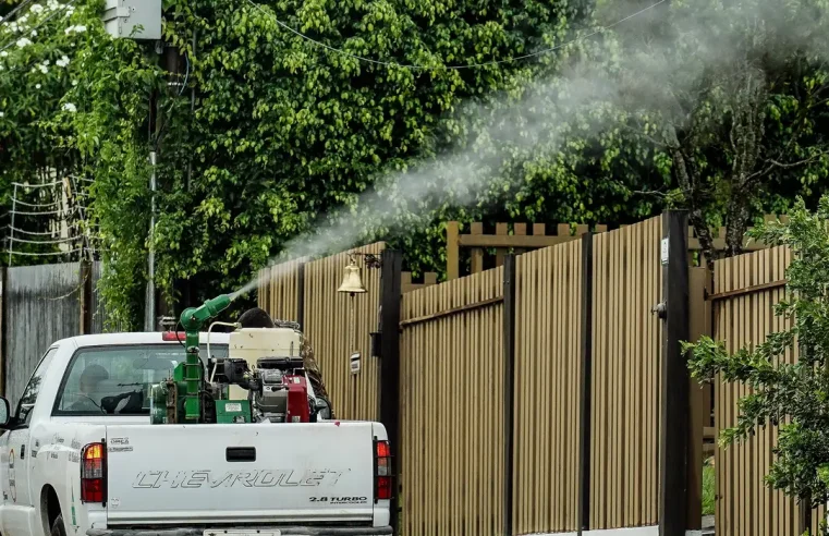 Rio de Janeiro confirma segunda morte por dengue