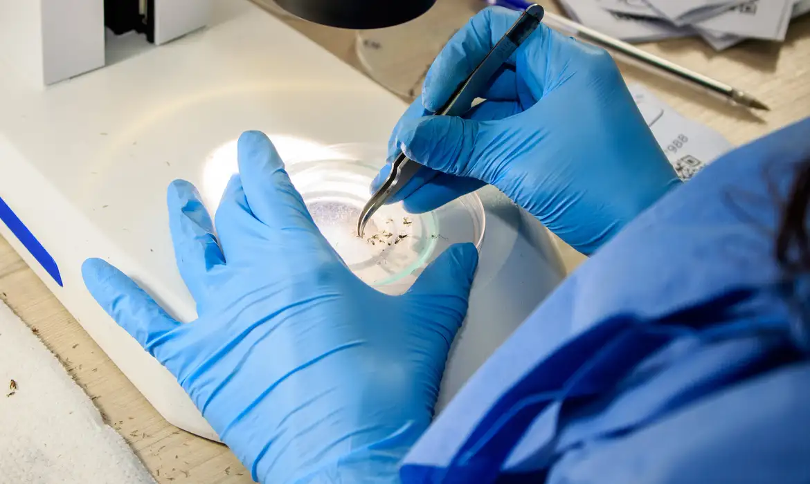 Saúde oferece curso grátis sobre arboviroses