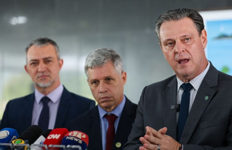 Preço do arroz deve cair cerca de 20% nas próximas semanas