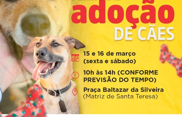Feira de adoção de cães da COPBEA acontece nesta sexta e sábado, na Praça Santa Teresa