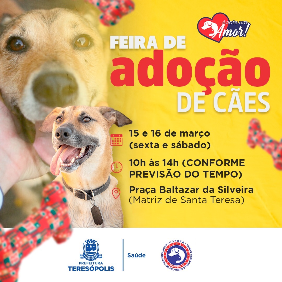Feira de adoção de cães da COPBEA acontece nesta sexta e sábado, na Praça Santa Teresa