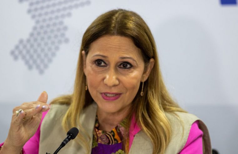 Dengue: Norte, Centro-Oeste e Sudeste têm desaceleração de casos