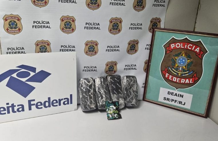 PF e RFB prendem homem com mais de 4kg de maconha no Aeroporto do Galeão