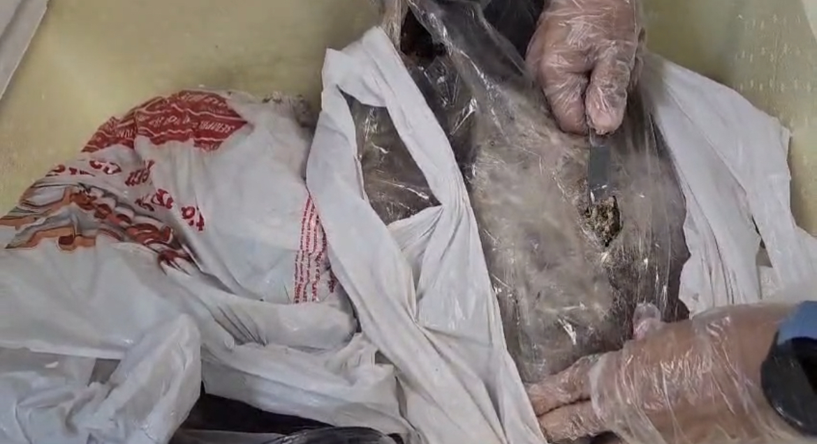 PF prende homem transportando maconha dentro de peixes, no Aeroporto do Galeão