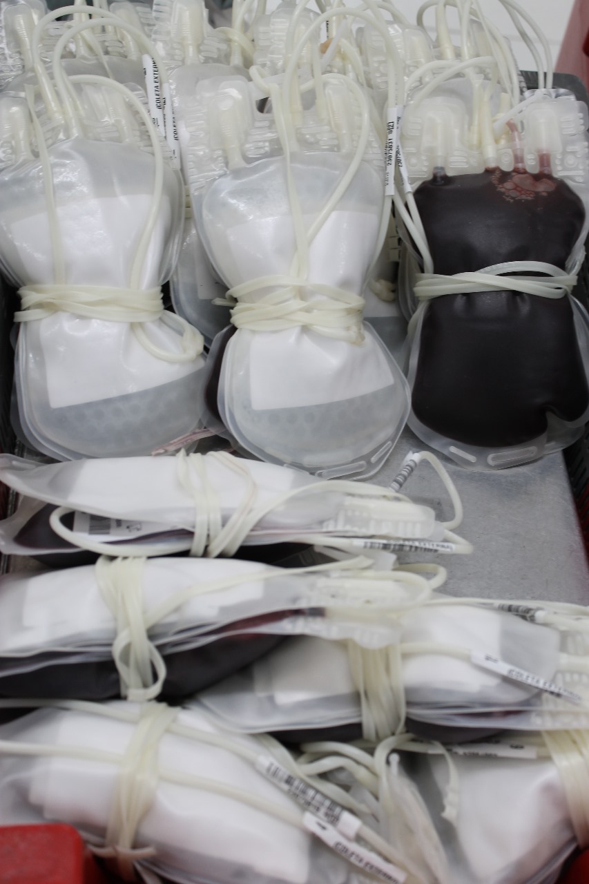 Estácio Petrópolis promove Trote Solidário com arrecadação de chocolate para a Páscoa e participação na campanha nacional de doação de sangue