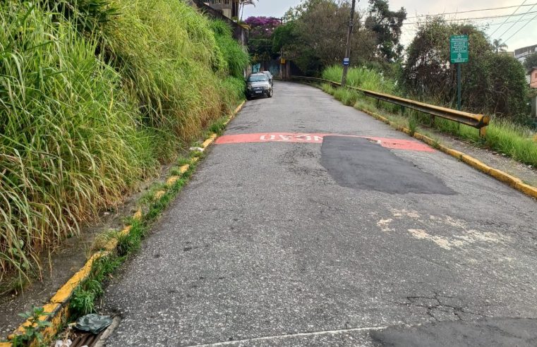 Moradores do Gulf estão há 15 dias sem ônibus