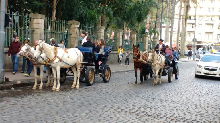 Cinco anos após o fim das tradicionais charretes, acordo com ex-charreteiros de Petrópolis nunca foi cumprido