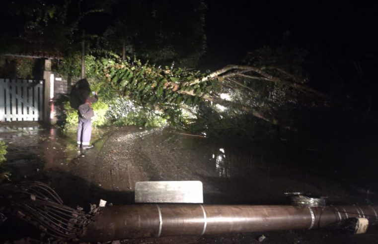 Defesa Civil de Petrópolis registrou 1.006 ocorrências desde o dia 21