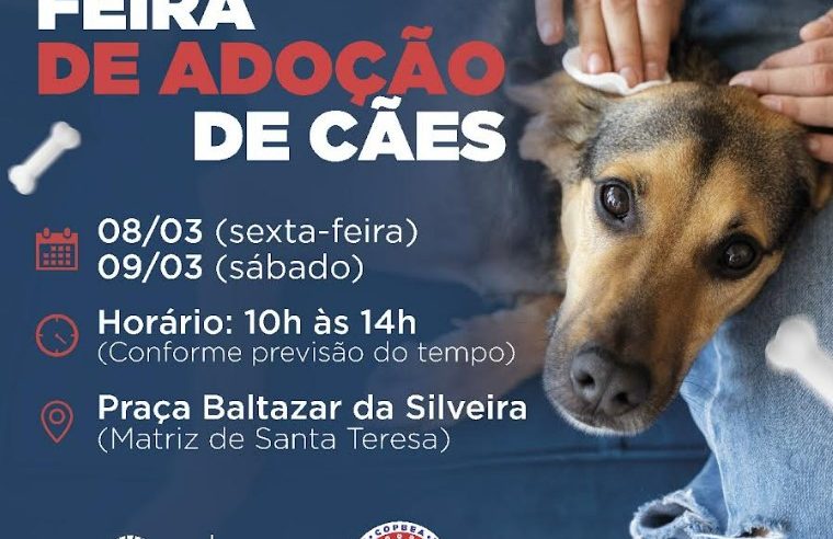 Teresópolis realiza mais uma edição da feira de cães, na Praça Santa Teresa
