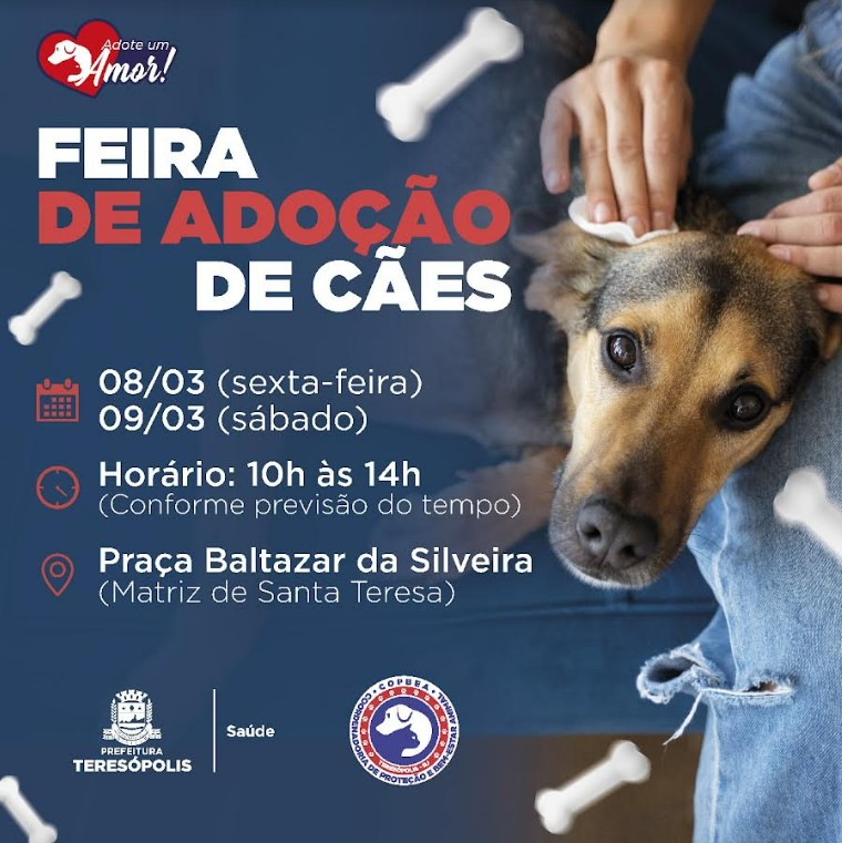 Teresópolis realiza mais uma edição da feira de cães, na Praça Santa Teresa