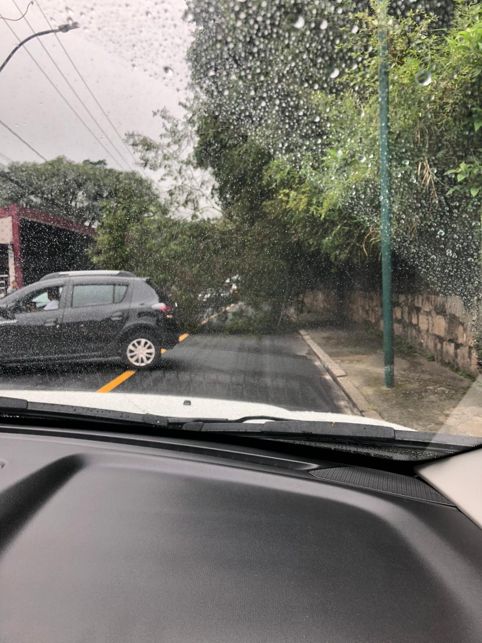 Árvore tomba e interdita parte da Gonçalves Dias em Petrópolis