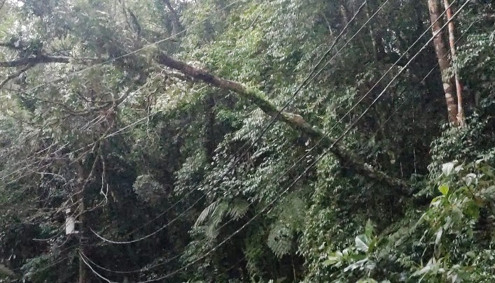 Moradores do Rocio, em Petrópolis, precisam caminhar por até 4km para chegar em casa
