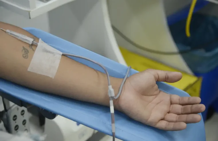 Diagnóstico de dengue e imunização exigem cautelas na doação de sangue