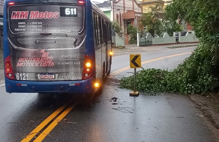 Galhos na pista, em Corrêas, podem causar acidentes