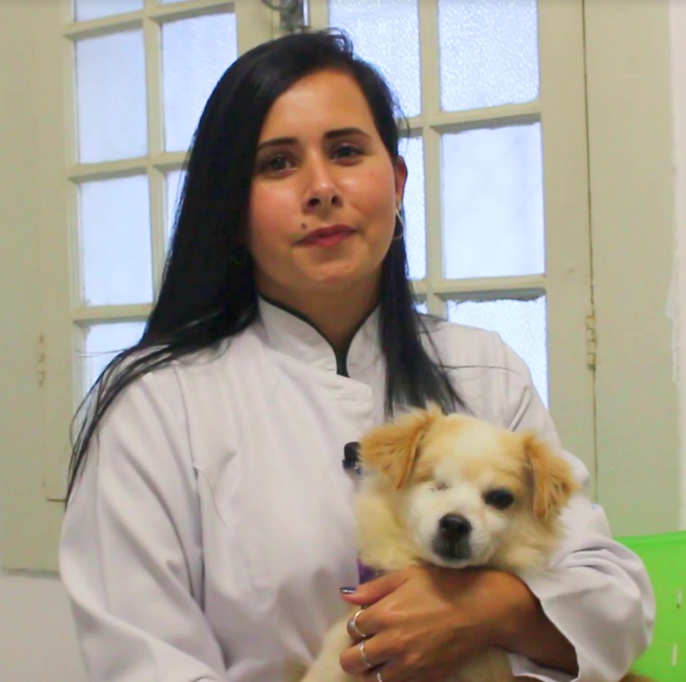 Veterinária orienta sobre identificação dos Pets em situação de chuvas fortes