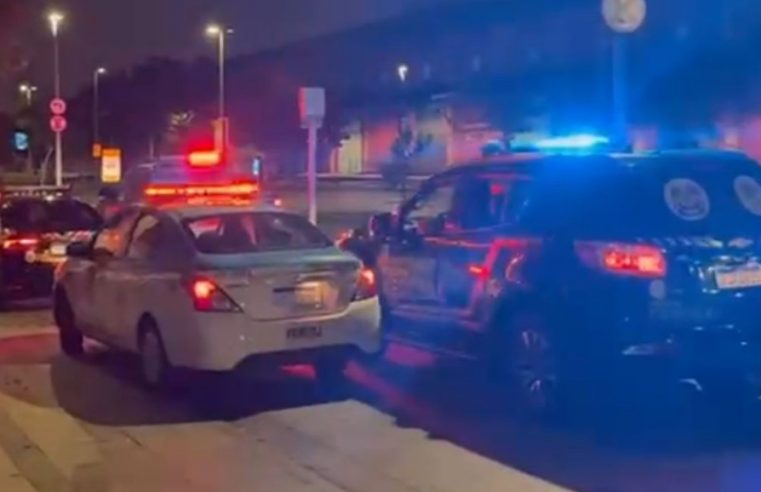 Operação Defaunação busca por organização criminosa que atua no tráfico de animais em extinção, no Rio de Janeiro