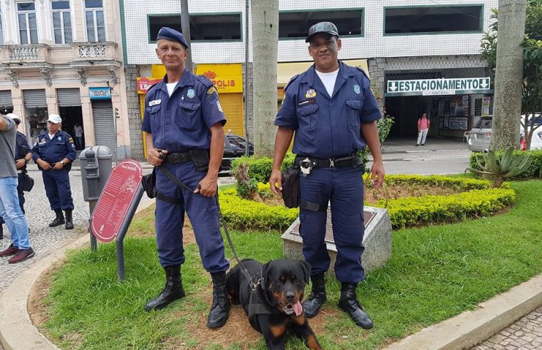Cães da Guarda Civil de Petrópolis podem ser treinados para assistência judiciária