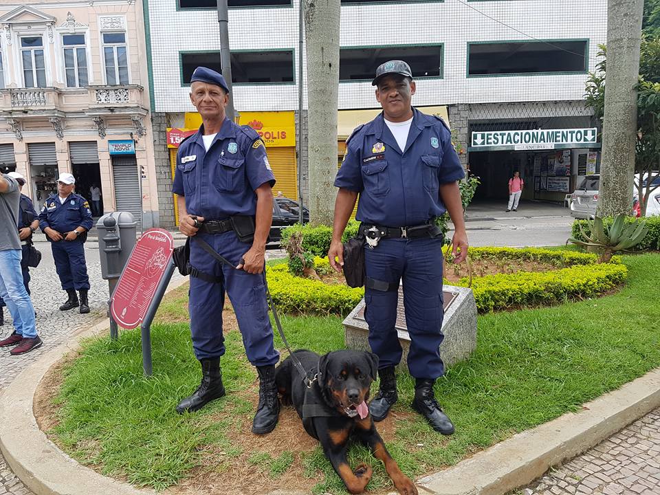 Cães da Guarda Civil de Petrópolis podem ser treinados para assistência judiciária