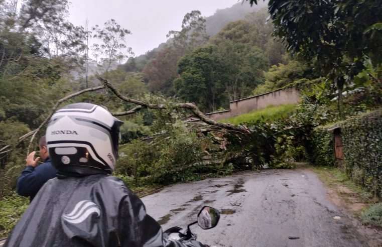 Araras sofre com quedas de poste e árvores nesta terça-feira (26)