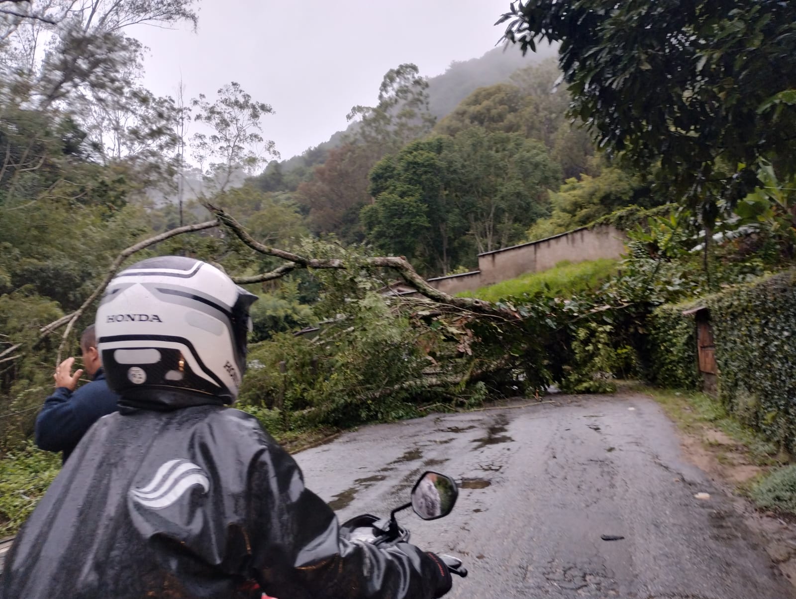 Araras sofre com quedas de poste e árvores nesta terça-feira (26)