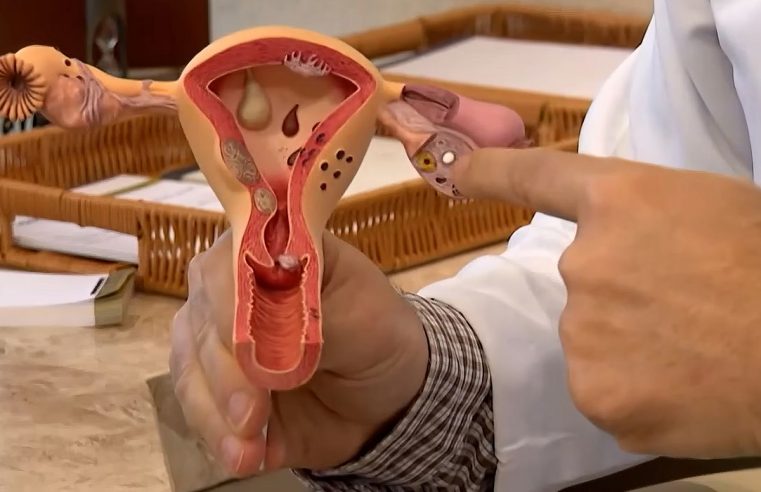 Mulheres podem levar acompanhantes para consultas e exames ginecológicos