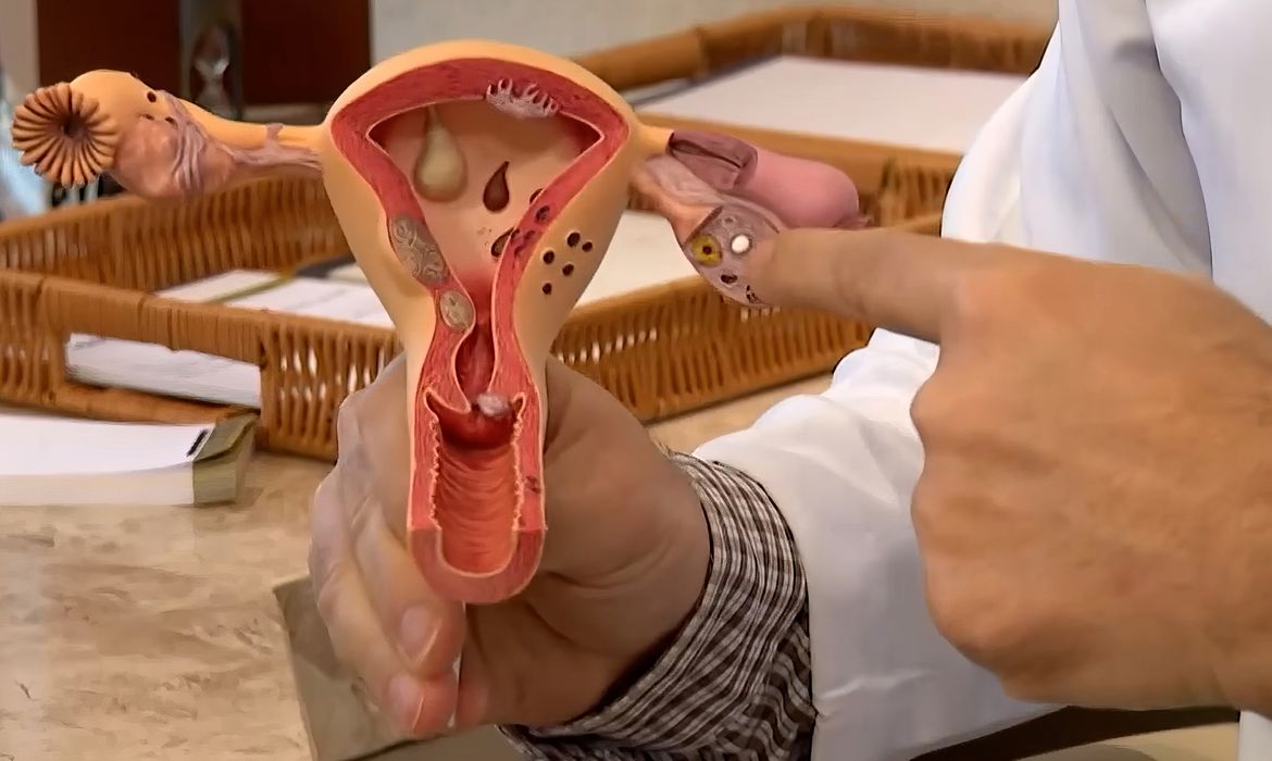 Mulheres podem levar acompanhantes para consultas e exames ginecológicos