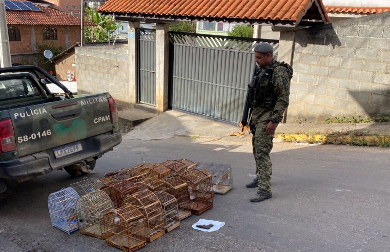 ARMA DE FOGO E PÁSSAROS SEM LICENÇA SÃO APREENDIDOS EM NOVA FRIBURGO