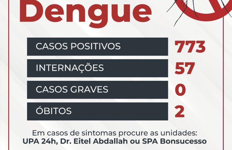 Atualização dos Casos de Dengue em Teresópolis