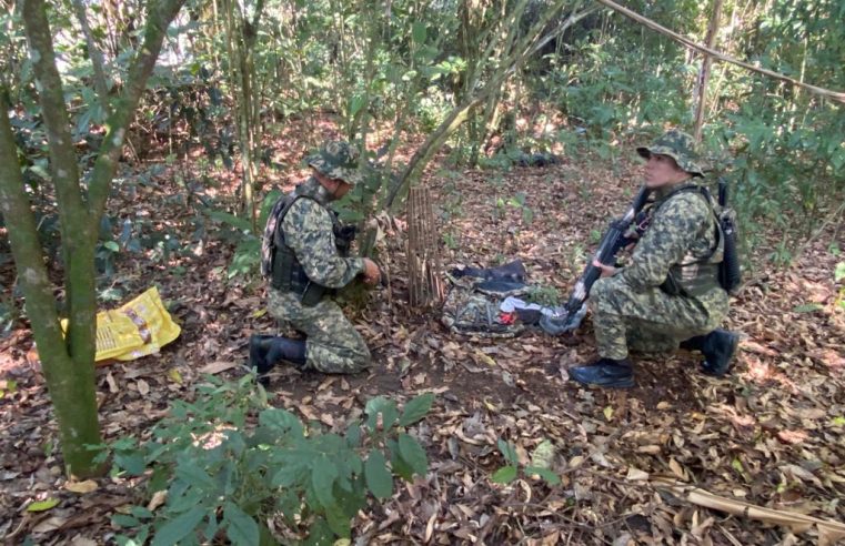 Municípios da região serrana registram alta em crimes ambientais 