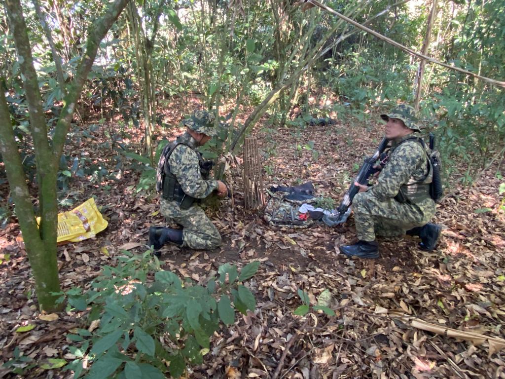 Municípios da região serrana registram alta em crimes ambientais