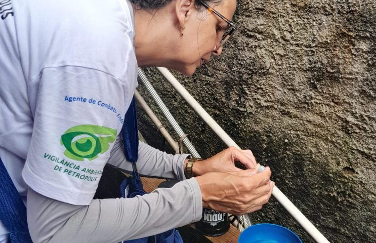 Segundo dia D de combate à dengue será promovido neste sábado (06) em Petrópolis