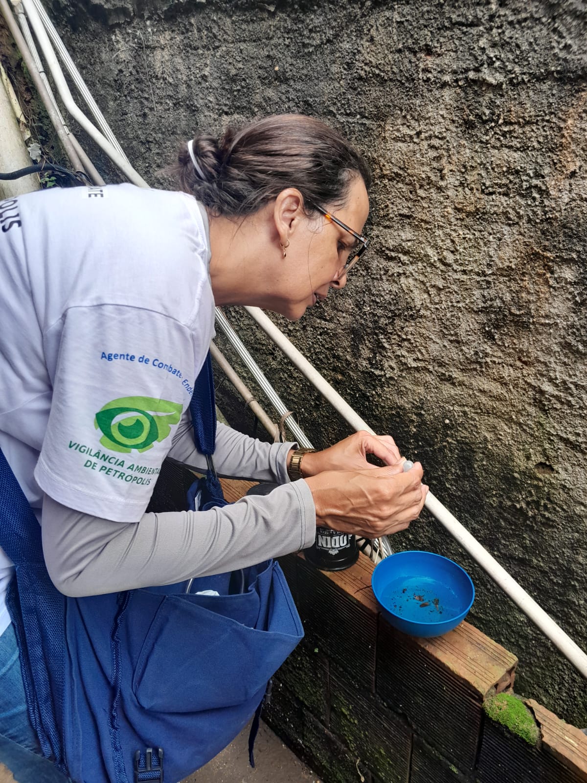 Segundo dia D de combate à dengue será promovido neste sábado (06) em Petrópolis