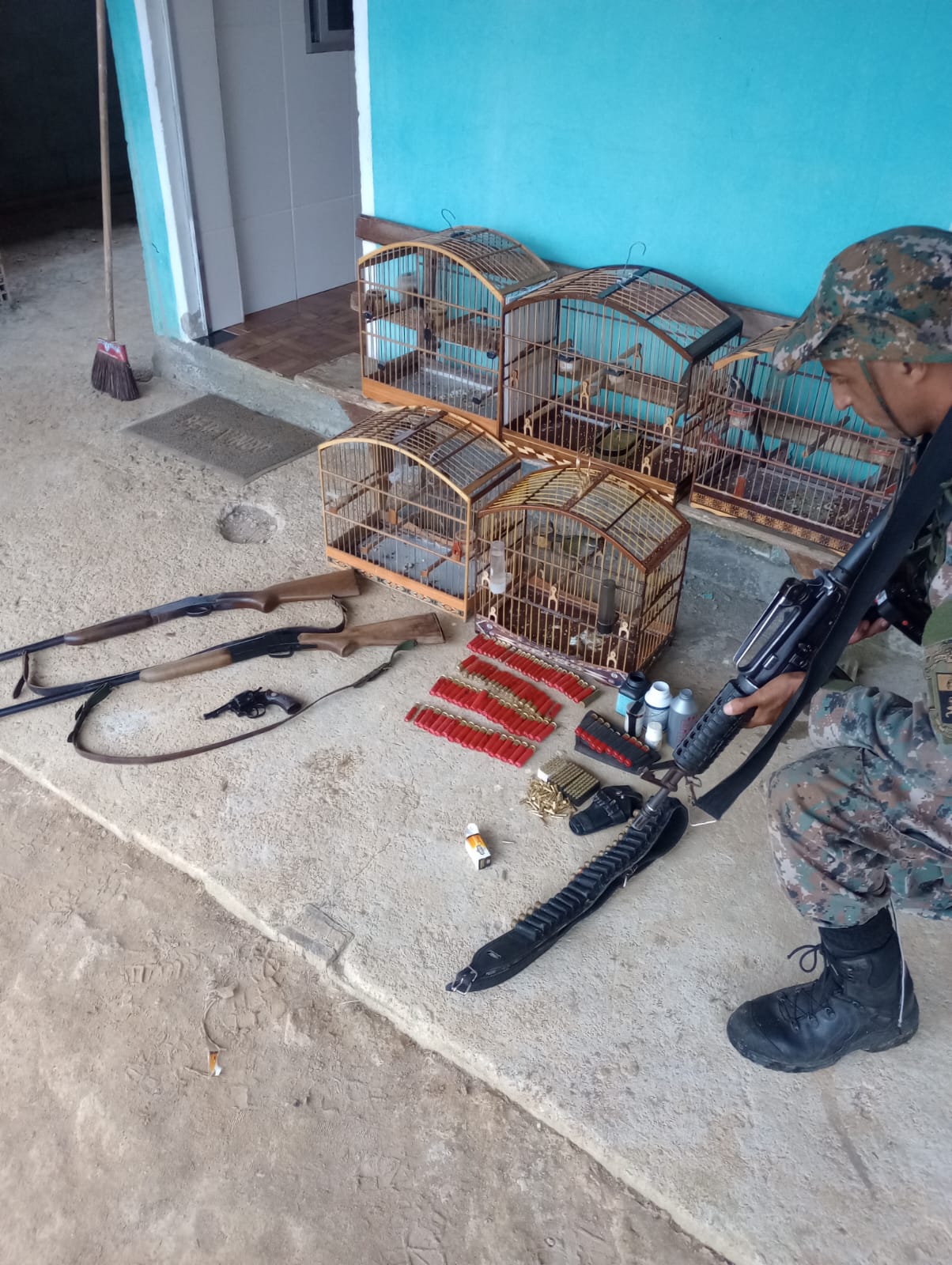Armas, munições e pássaros são apreendidos em Nova Friburgo após denúncia 
