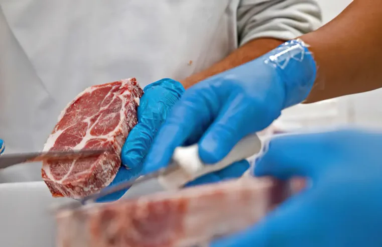 Conab: aumento na produção de carnes deve manter preços baixos