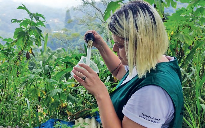 Petrópolis terá segundo Dia D de Combate à Dengue