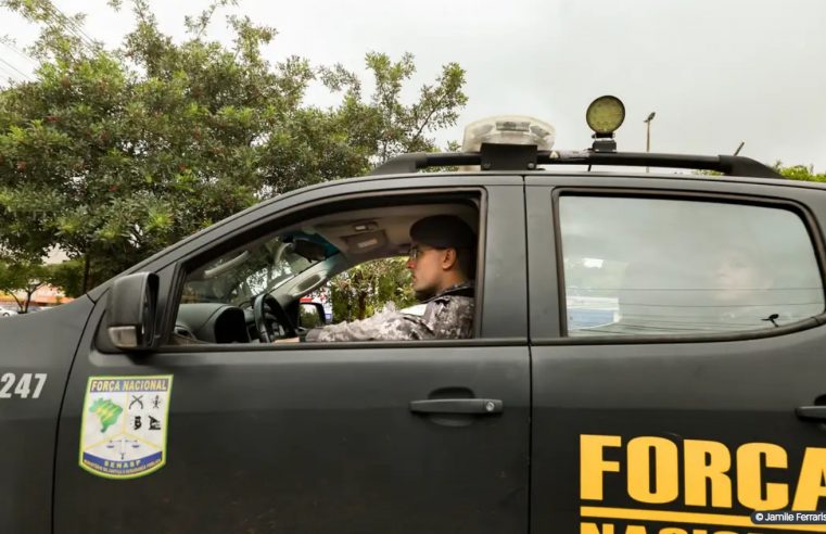 Força Nacional continuará apoiando Ibama na Amazônia Legal