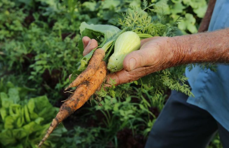 Vereadora solicita regulamentação da Lei que beneficia agricultura familiar em Petrópolis