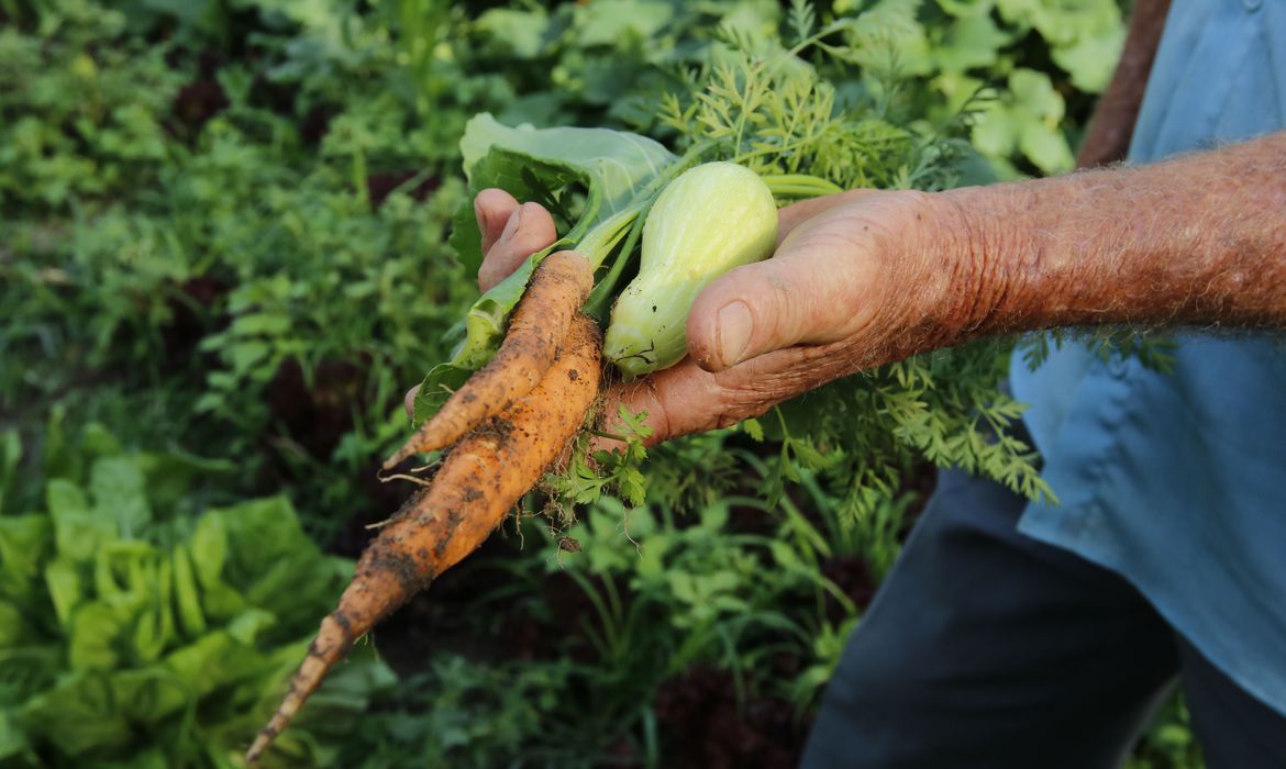 Vereadora solicita regulamentação da Lei que beneficia agricultura familiar em Petrópolis