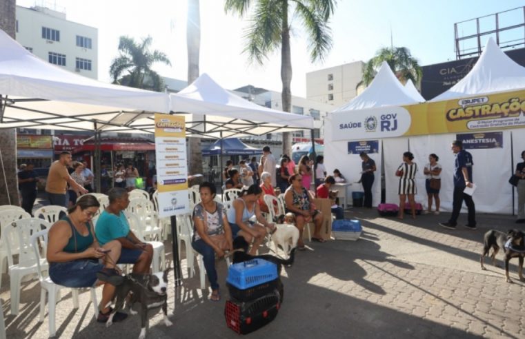 Castramóvel do RJPET atende em Campo Grande, Guadalupe, Nova Iguaçu e Cachoeiras de Macacu