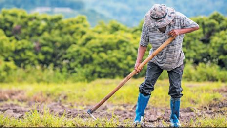 Dia do Trabalhador: os desafios da força rural