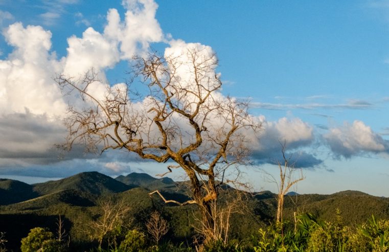 Documentário que resgata memórias e tradições rurais de Petrópolis começa a ser gravado neste mês  
