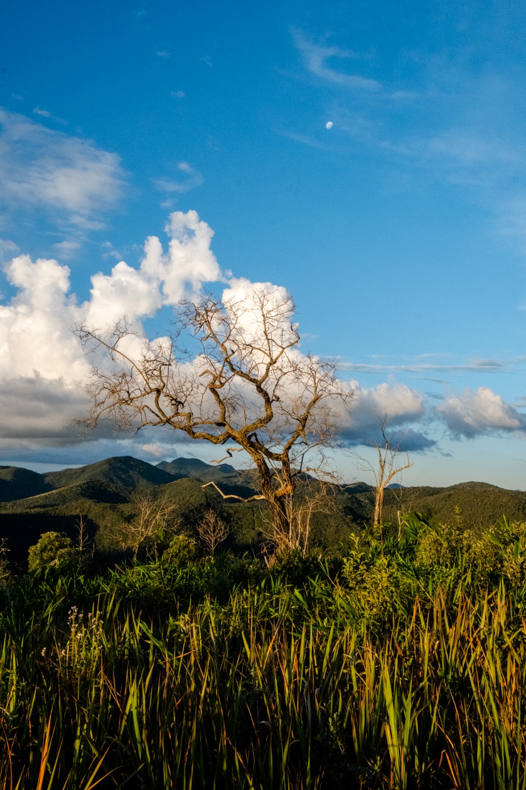 Documentário que resgata memórias e tradições rurais de Petrópolis começa a ser gravado neste mês  