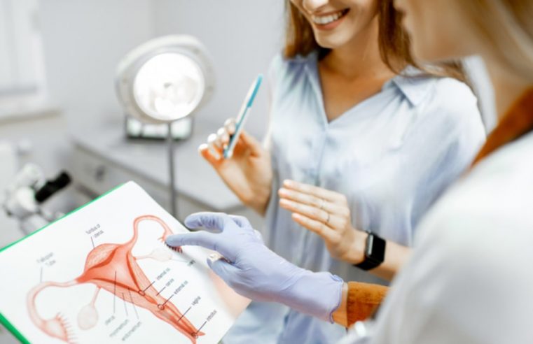 Mulheres terão direito de acompanhante nas consultas e exames ginecológicos em Petrópolis