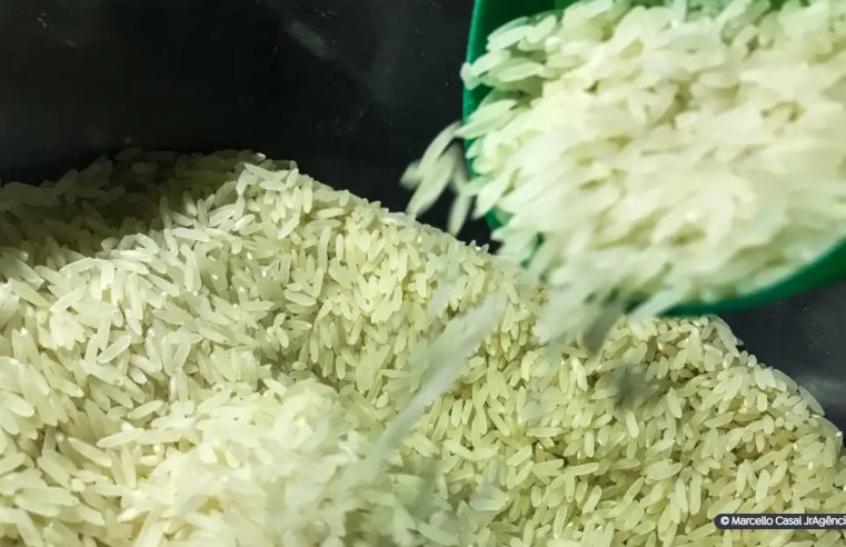 Governo marca leilão de compra de arroz importado para 6 de junho