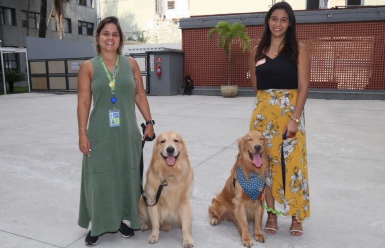 Cães de suporte emocional mudam a realidade de pessoas com ansiedade no estado do Rio de Janeiro