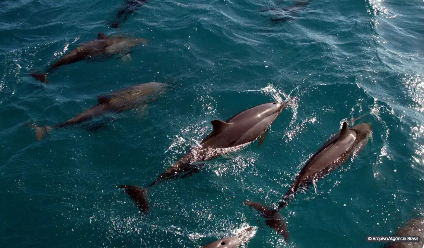 Universidades criam roteiros de ecoturismo em Santa Catarina