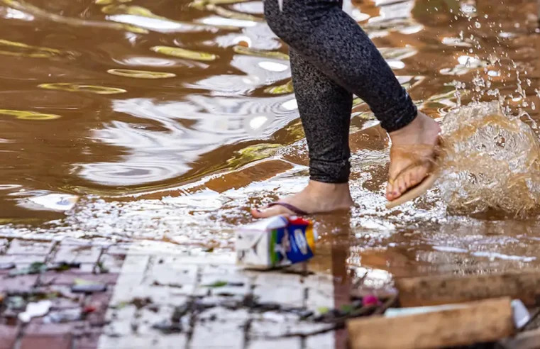 Com recuo da água, Porto Alegre enfrenta lixo na rua, ratos e insetos